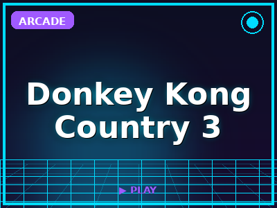 Donkey Kong Country 3 game thumbnail